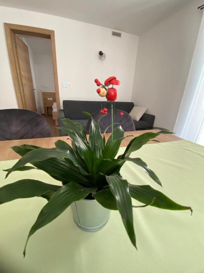 Apartment New Teravila Ratece